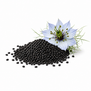 Black Seed Oil