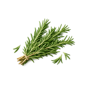 Rosemary